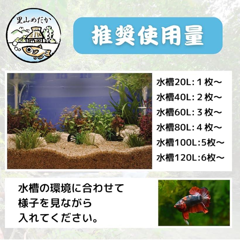 楽天市場】マジックリーフ モモタマナ 国産 水質改善 ベタリーフ