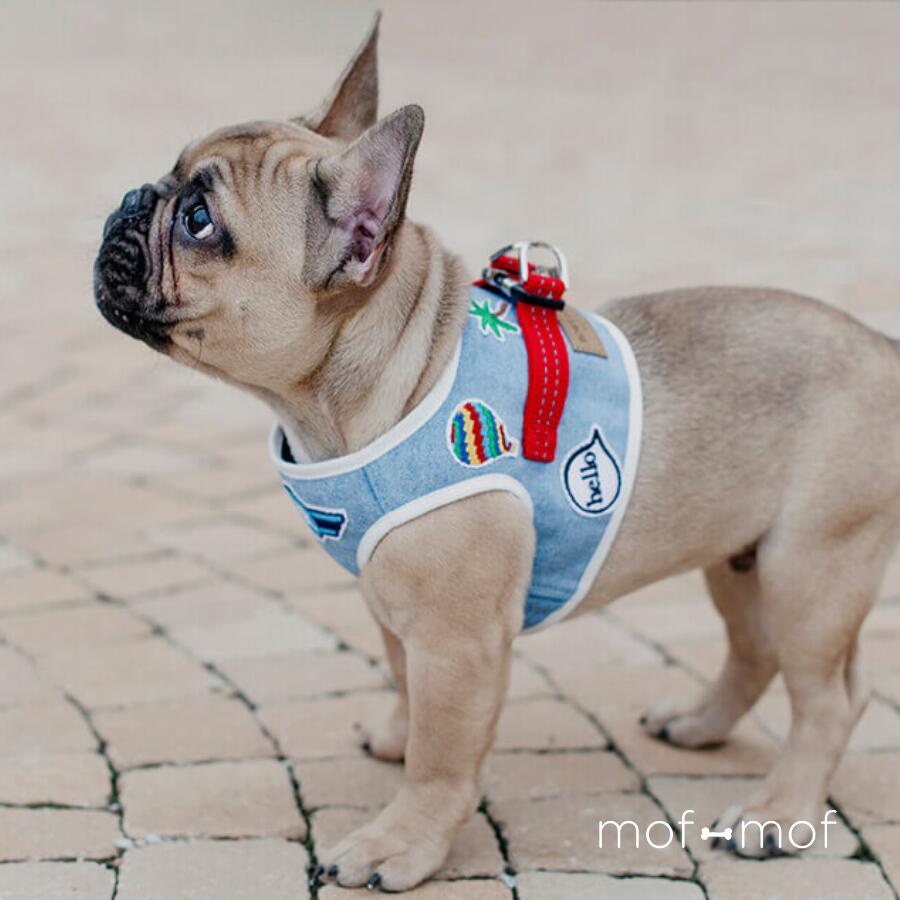 小型犬用 ハーネス Sサイズ ハンドメイド 北欧風 花柄 デニム 小型犬用
