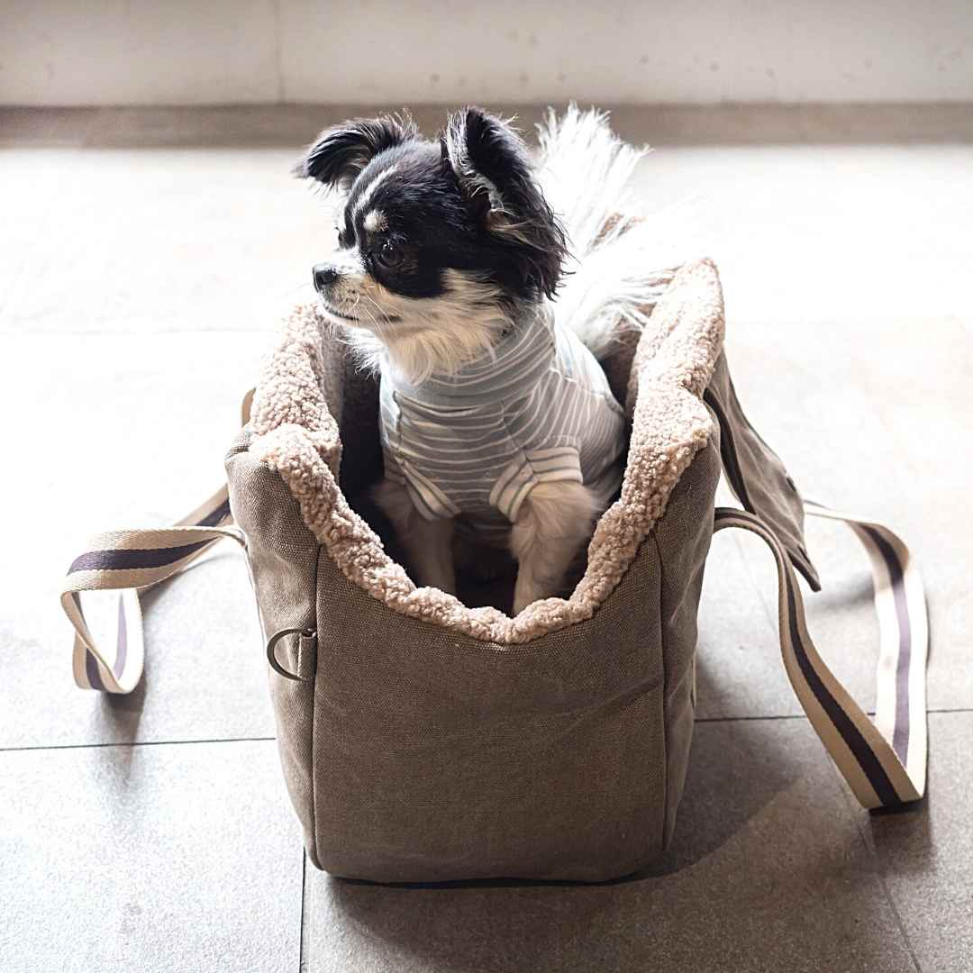 楽天市場】Cloud7 キャリーバッグ カーキー 送料無料 クラウドセブン