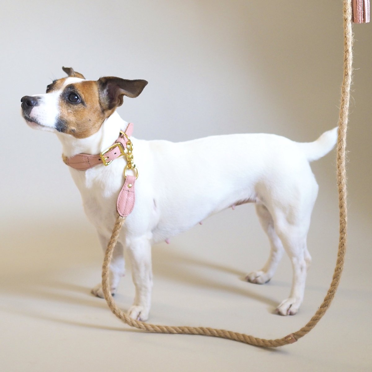 Hunting Pony ハンティングポニータッセル付リード&ハーネス&首輪