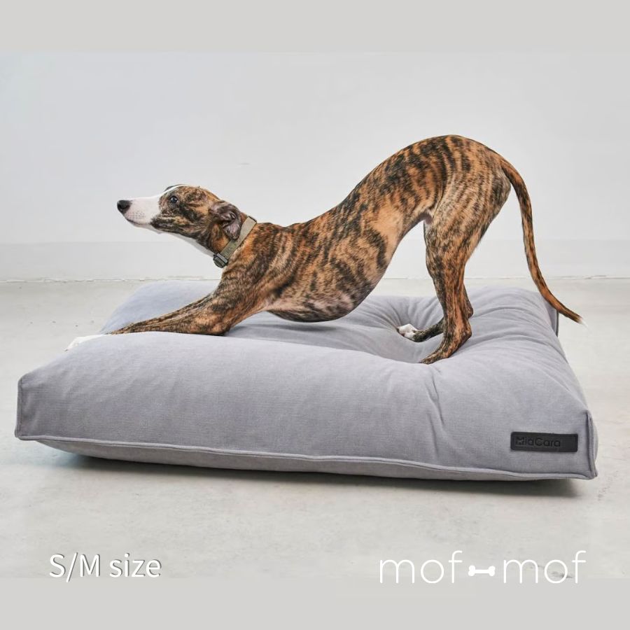 楽天市場】MiaCara Comodo クッションベッド グレー 犬用ベッド