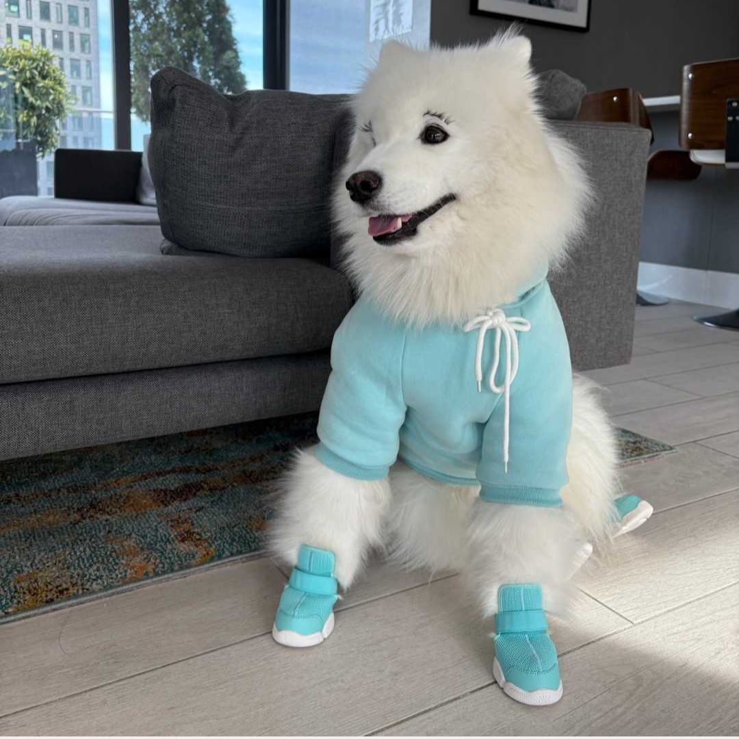 楽天市場】【即納】RIFRUF ドッグスニーカー 左右2個セット 前後の