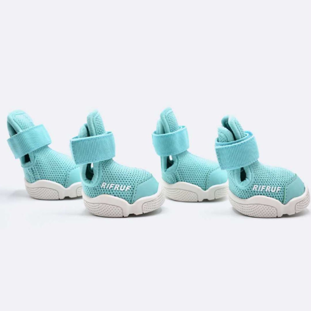 楽天市場】【即納】 RIFRUF ドッグスニーカー サイズ交換無料 アクア
