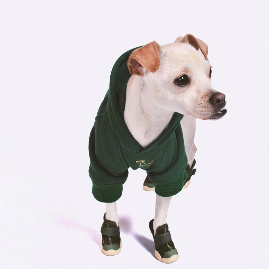 楽天市場】【即納】 RIFRUF ドッグスニーカー サイズ交換無料 アクア