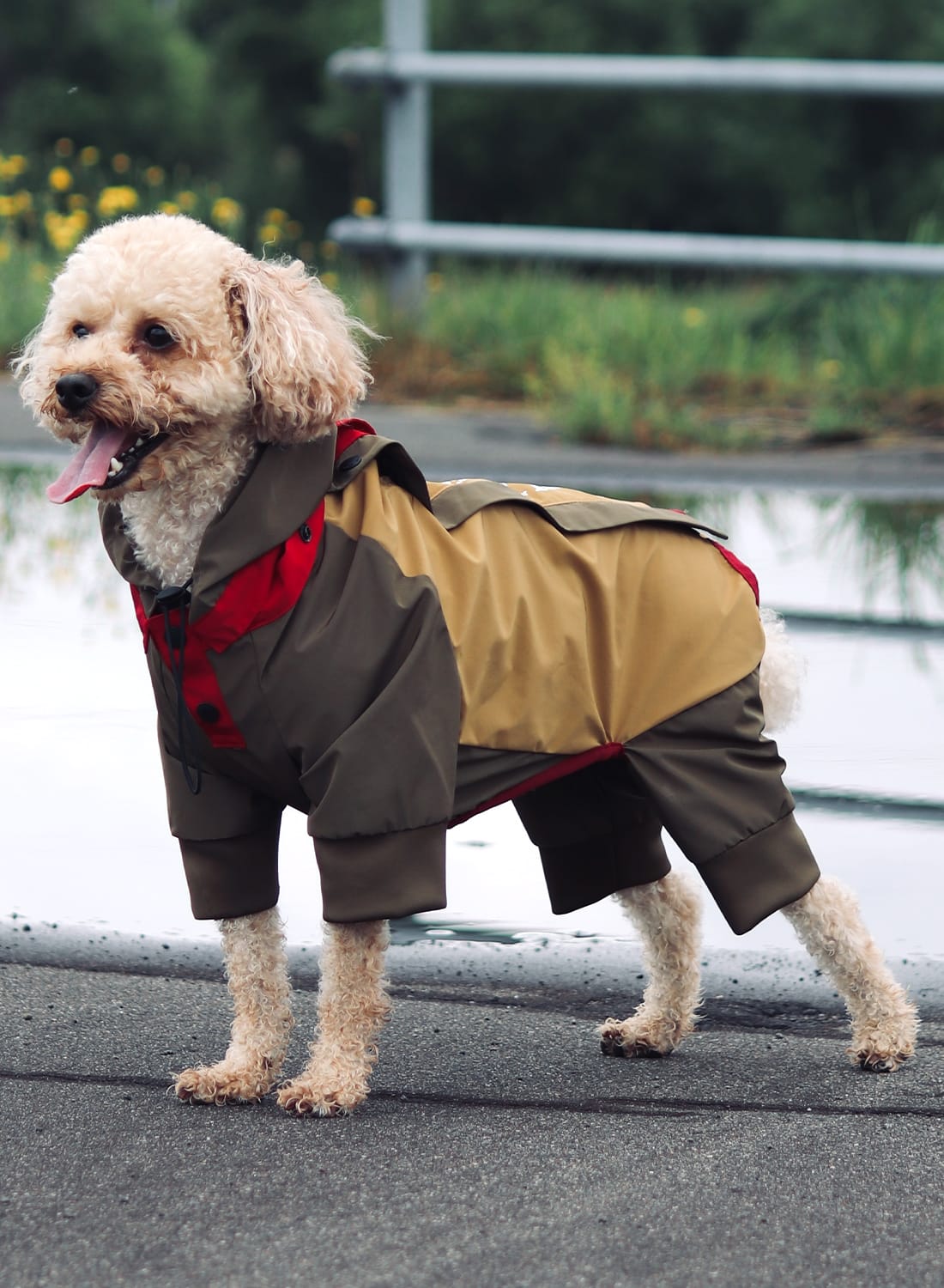 楽天市場】【まとめ買い対象】【40％OFF SALE セール】Snow Peak