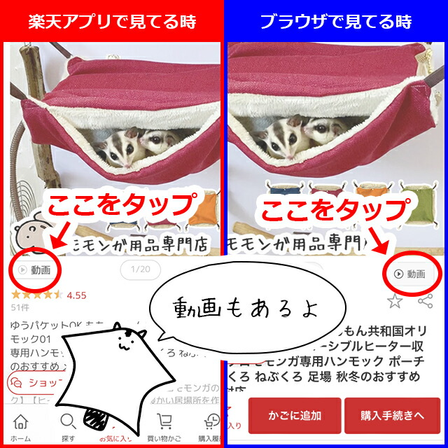 楽天市場】フクロモモンガの飼育初心者セット02 アクリルケージと基本
