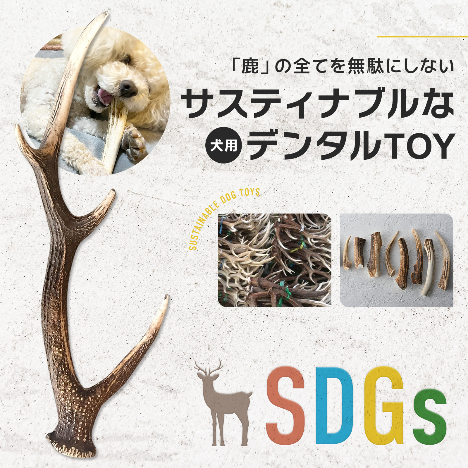 鹿のツノ 4本 7本 エゾシカ 蝦夷鹿 角 ツノ 鹿の角4本 落ち角 シカの