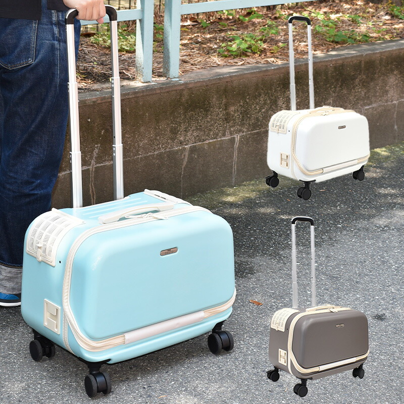 楽天市場】GEX OSOTO コロフィー M ミルク / モカ / アクア10kg以下 犬