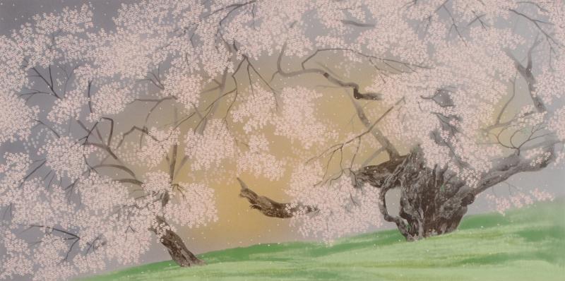 楽天市場】中島千波 臥龍桜爛漫 桜 絵画 臥龍桜 和風 岐阜県高山市
