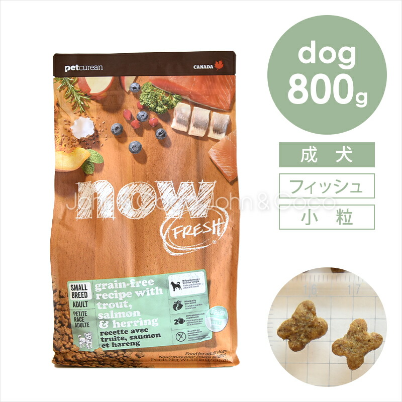 now フレッシュ 犬」の人気商品一覧 | 安い商品を通販サイトから探す
