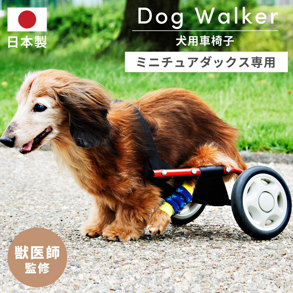 10%OFFクーポンすぐ使える！ ／ 犬用車椅子 車いす ミニチュアダックス
