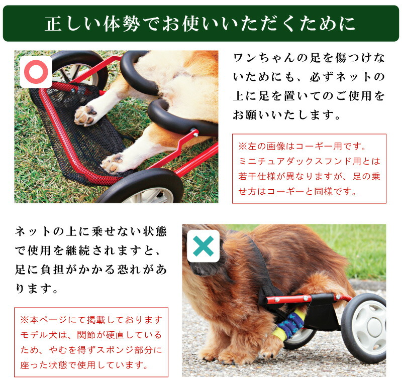 楽天市場】犬用車椅子 車いす ミニチュアダックスフンド専用 日本製 犬