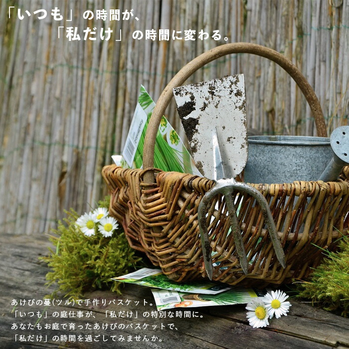 アケビ 木通 籠 バスケット 【公式通販】