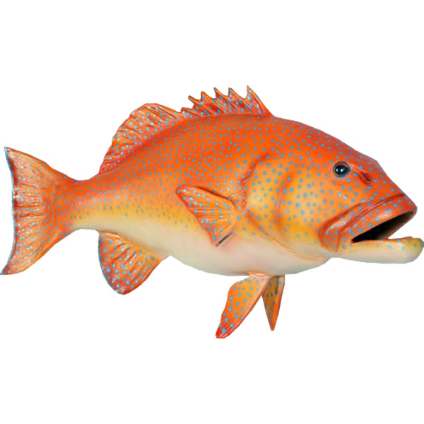 楽天市場】FRPアニマルオブジェ コーラルトラウト Coral Trout