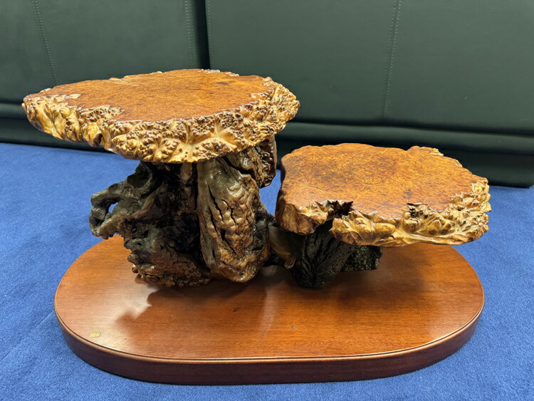 木の根 飾り台 W56cm 高級 花台 豪華 2段 盆栽卓 根卓 飾台 盆栽 楽天