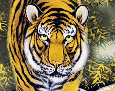 虎の掛軸 月と松の風景 とらの掛け軸 月下の猛虎/中国高級掛け軸専門店