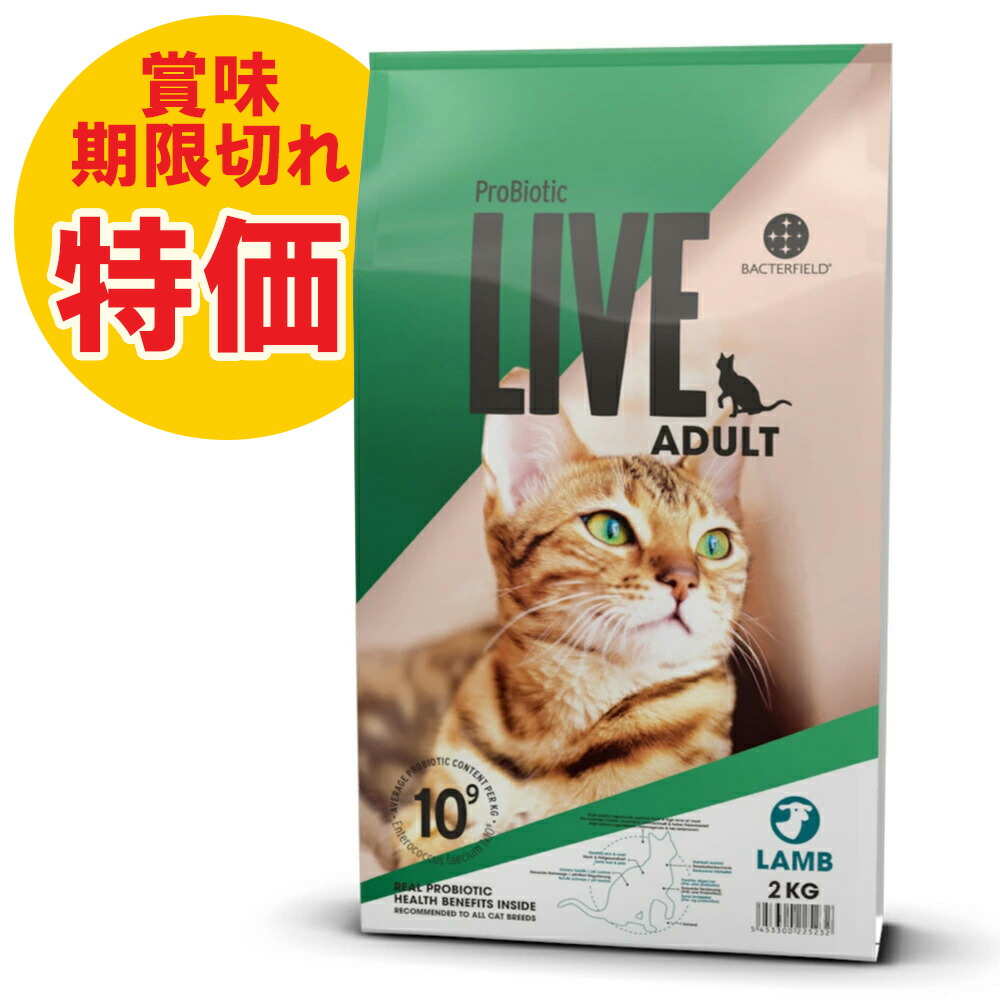 楽天市場】お買い物マラソンP5倍 訳あり2024年9月26日 期限切れ特価50