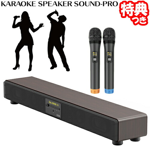 楽天市場】【2/10限定2人に1人最大100%P】カラオケサウンドプロ TKMI