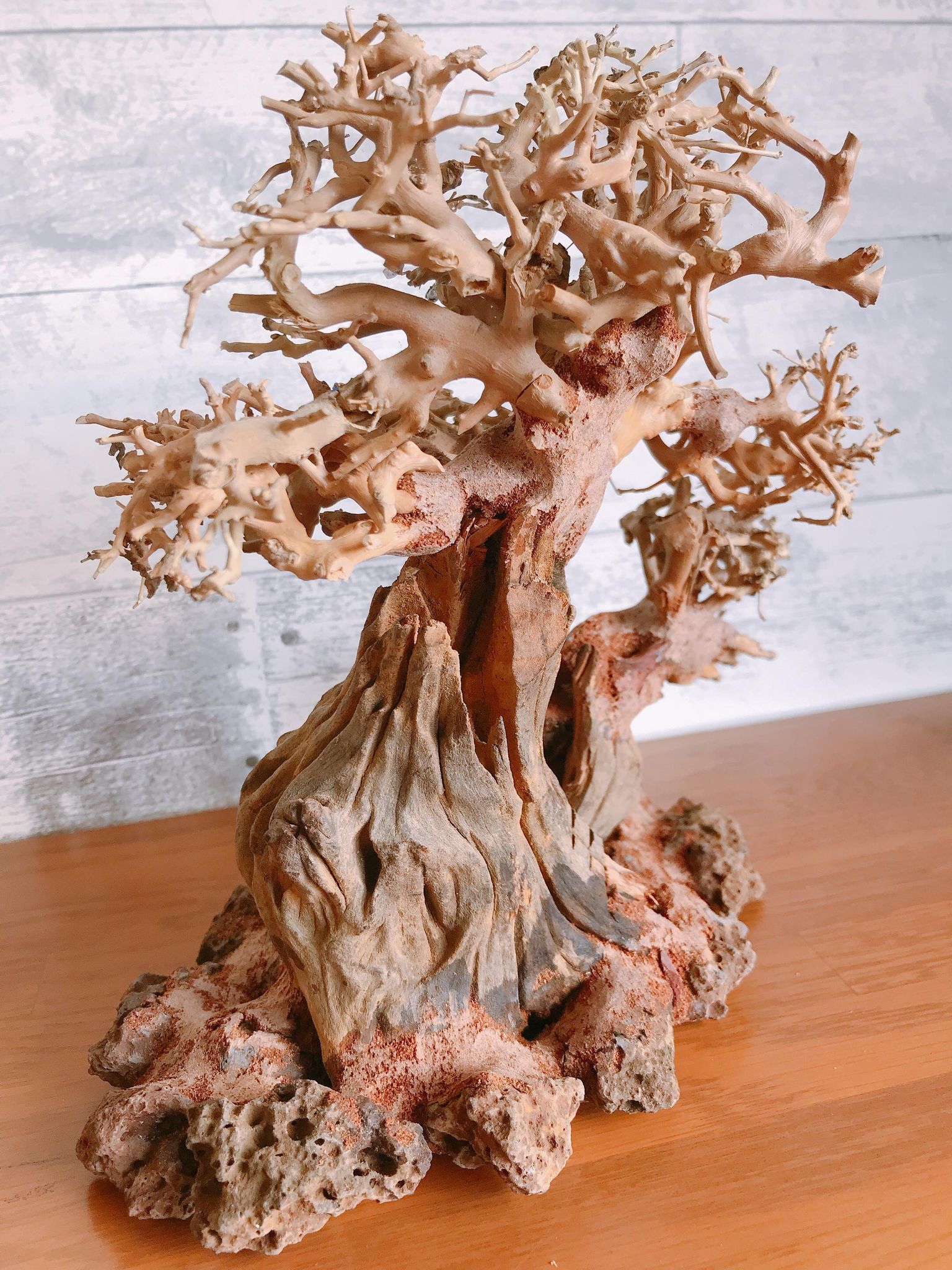 楽天市場】【送料無料・お買い得】溶岩石付き親子盆栽流木（水槽専用