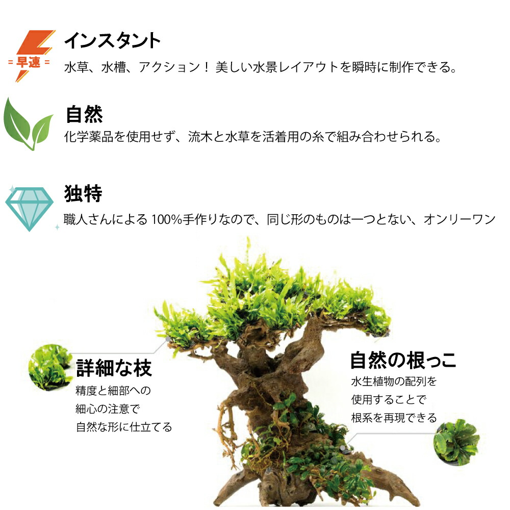 楽天市場】熱帯雨林のバニヤン流木（水槽専用アート流木）盆栽アート