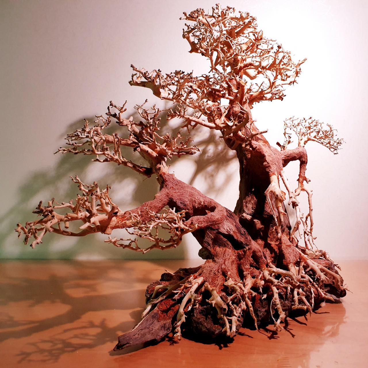 ローキーズ】001 盆栽流木 SS