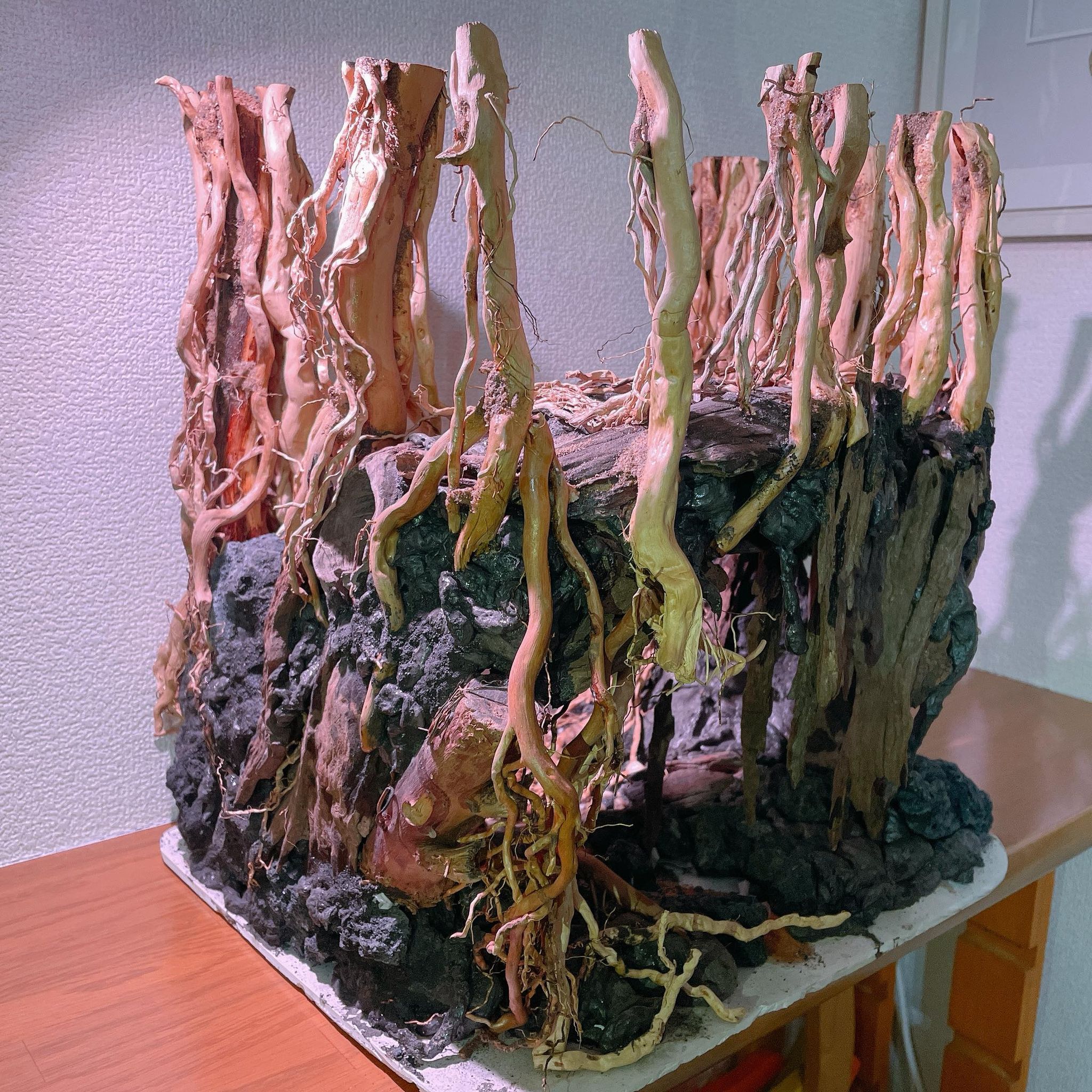 楽天市場】中型空洞型熱帯雨林のバニヤン流木 (水槽専用アート