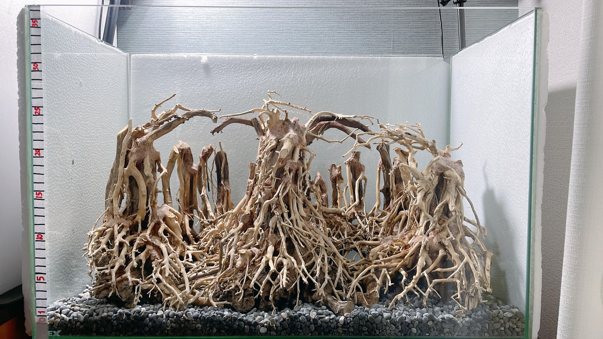 楽天市場】中型深い茂る熱帯雨林（水槽専用アート流木）盆栽アート