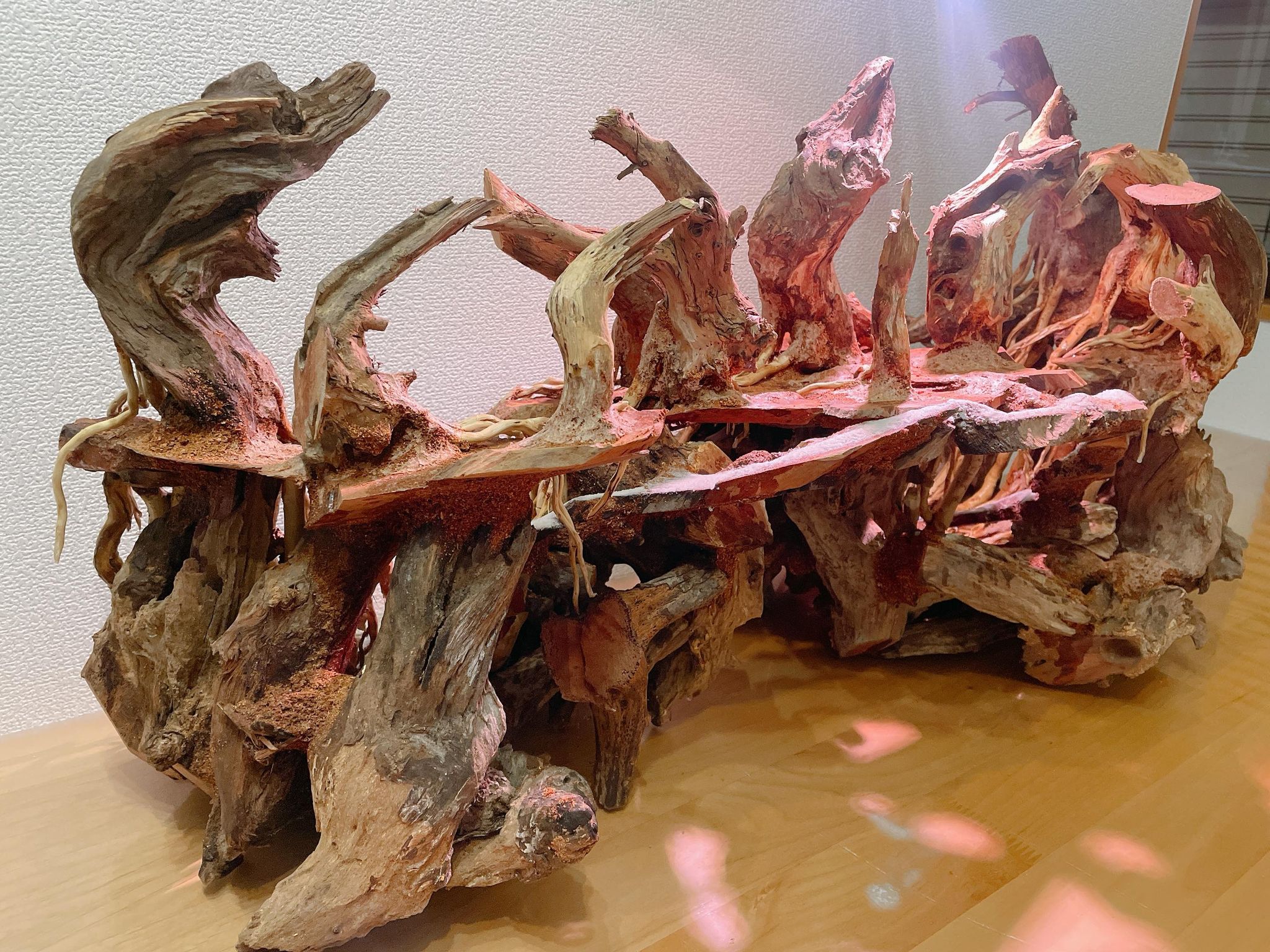 楽天市場】渓谷熱帯雨林ADA 流木（水槽専用アート流木）盆栽アート