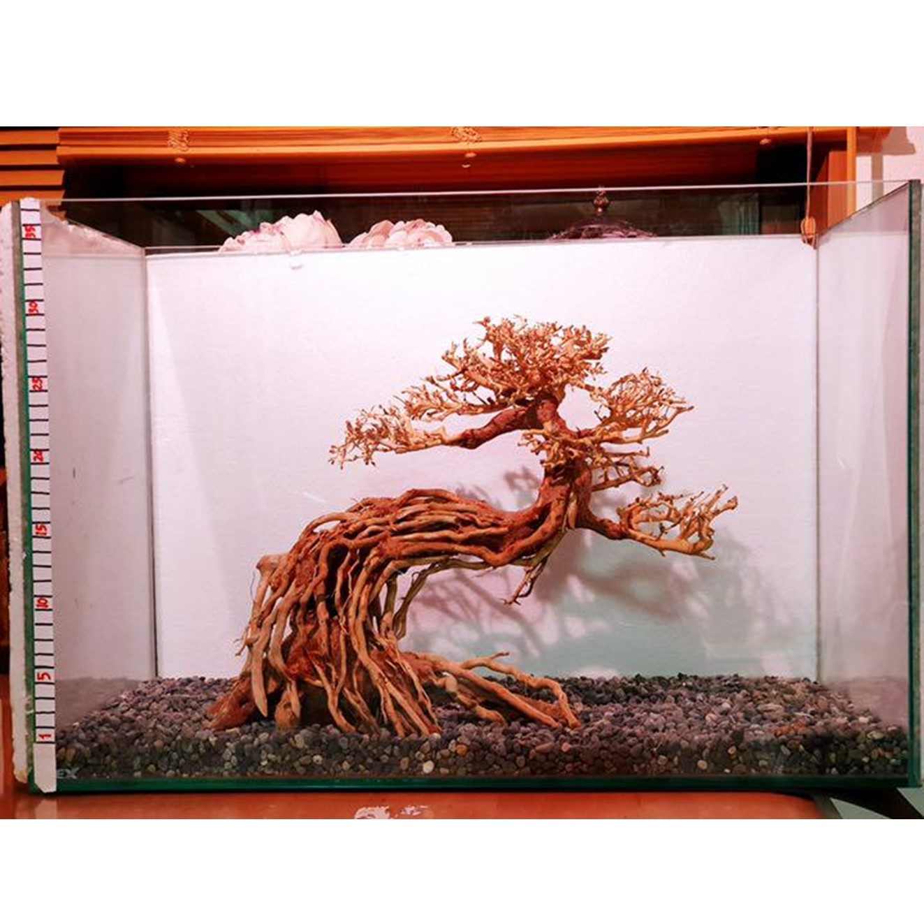 楽天市場】【お買い得・送料無料】昇天の龍盆栽流木（水槽専用アート