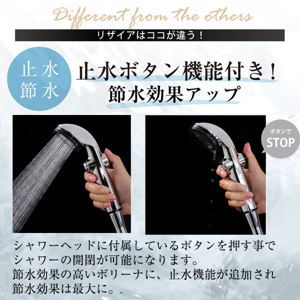 楽天市場】【3000円クーポン】【365日出荷】【おまけ付】ボリーナ