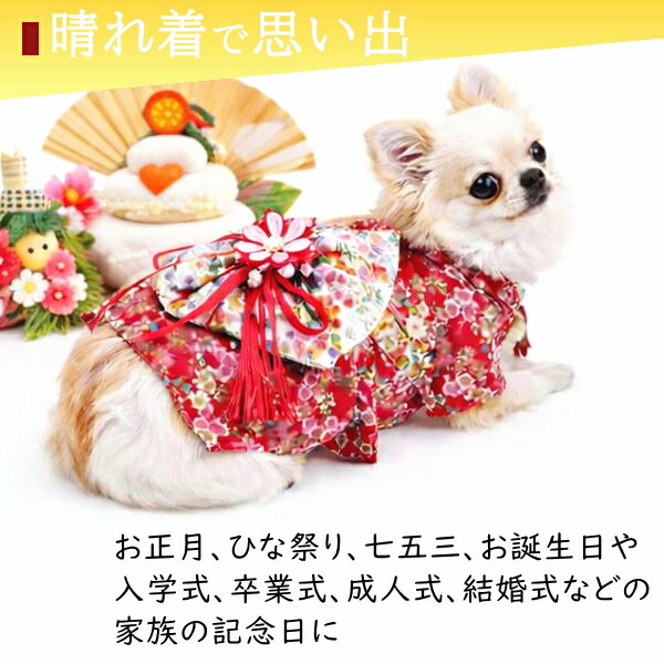 楽天市場】犬 着物 犬の着物 晴れ着 和装 犬服 花柄 帯 女の子 七五三