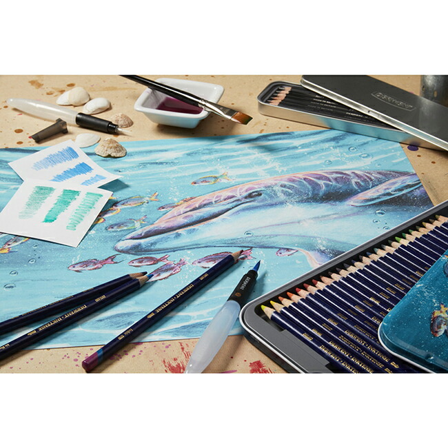 楽天市場】【送料無料】【お取り寄せ品】ダーウェント インクテンス