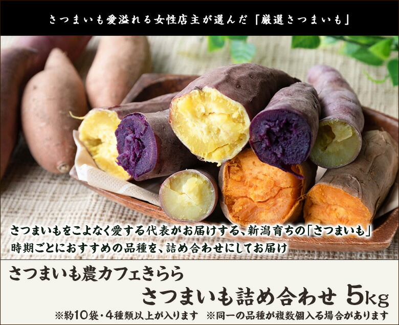 楽天市場】さつまいも 詰め合わせ 5kg ※約10袋・4種類以上(同一品種が