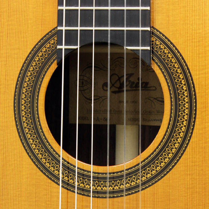 ◾️極美品 Aria アコースティックギター ◾️ソフトケース・教本2冊付