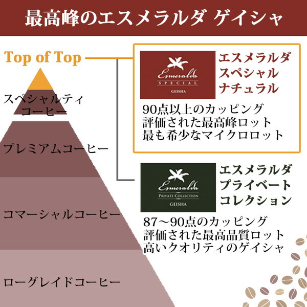 楽天市場】パナマ エスメラルダ ゲイシャ スペシャル ナチュラル
