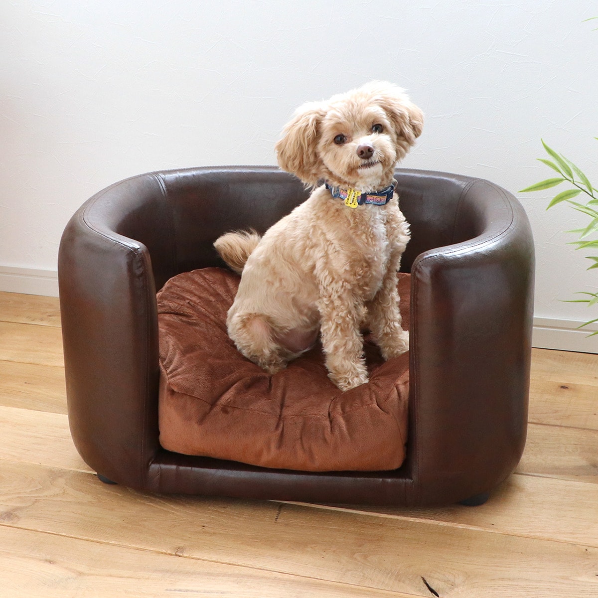犬用 ソファ ブラウン＊