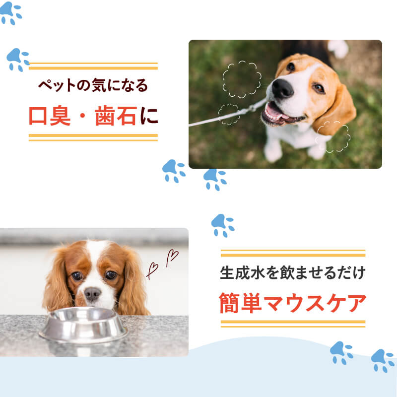 楽天市場】ペット用 飲用水 生成器 【 アニマルウォーター3 】 歯周病
