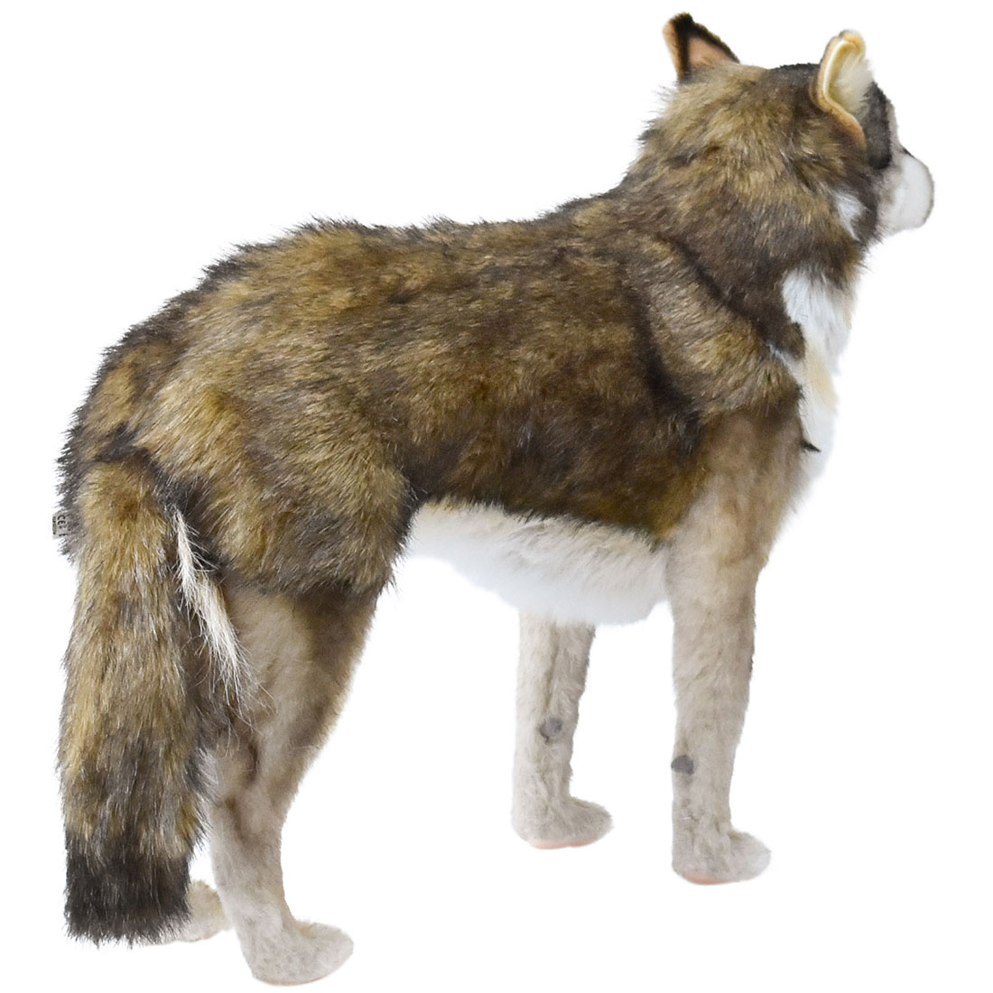楽天市場】ハンサ【HANSA】リアルぬいぐるみ オオカミ60 : ナチュラル