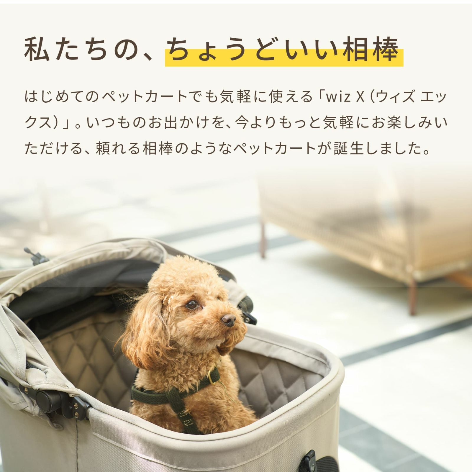 エアバギーWiz ペットカート 千葉市周辺引渡し希望 発送も要相談