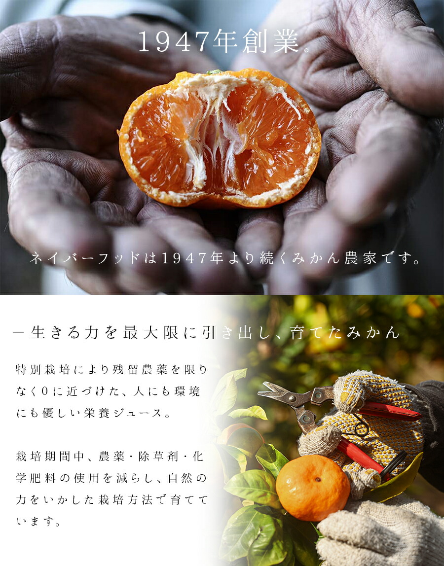 楽天市場】みかんジュース オレンジジュース 1000ml×6本 みかん100