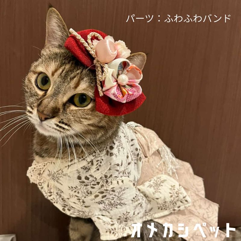 楽天市場】犬 着物 衣装 和風 ひなまつり 和飾り 正月 ペット用 帽子