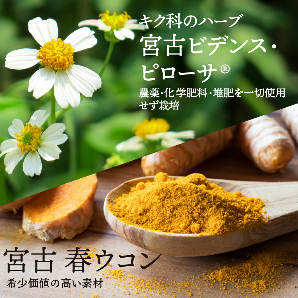 楽天市場】HaBidens HerbTea+ ハービデンス ハーブティープラス 31包