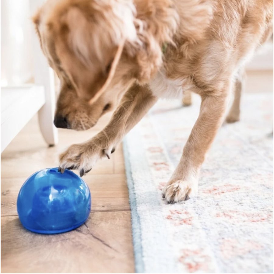 楽天市場】犬用 おもちゃ Planet Dog プラネットドッグ スヌープ (S/L