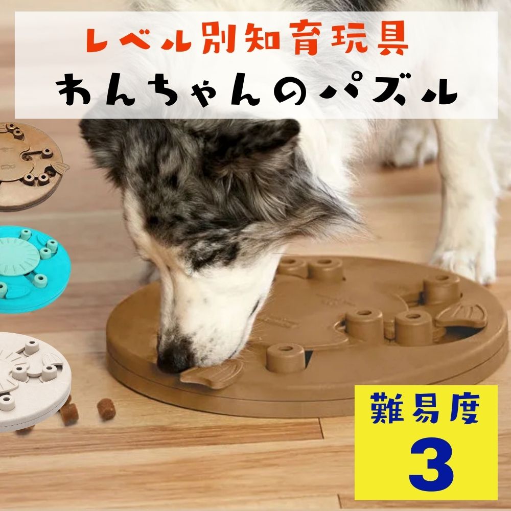 楽天市場】[クリアランス価格] 犬用 知育玩具 パズル [難易度3] Dog