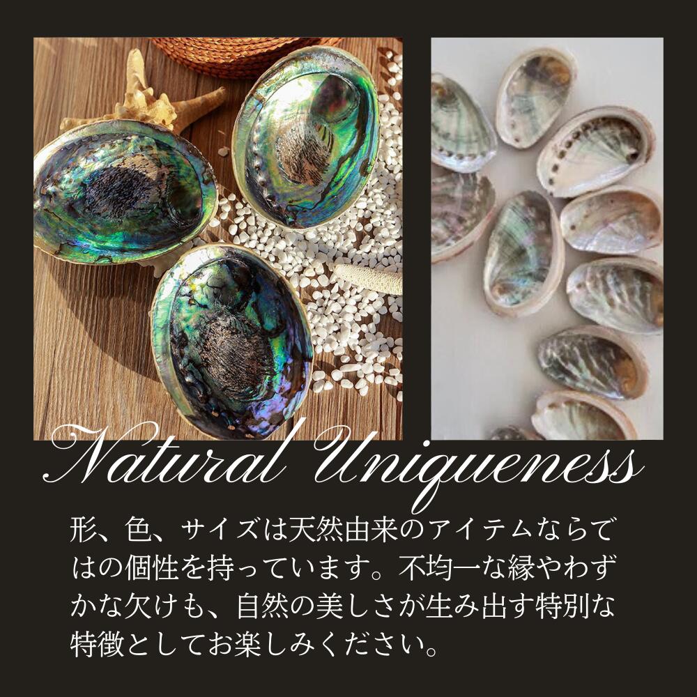 アワビの貝殻 虹色 インテリア 天然装飾品 約22cm×17cm アワビの貝殻