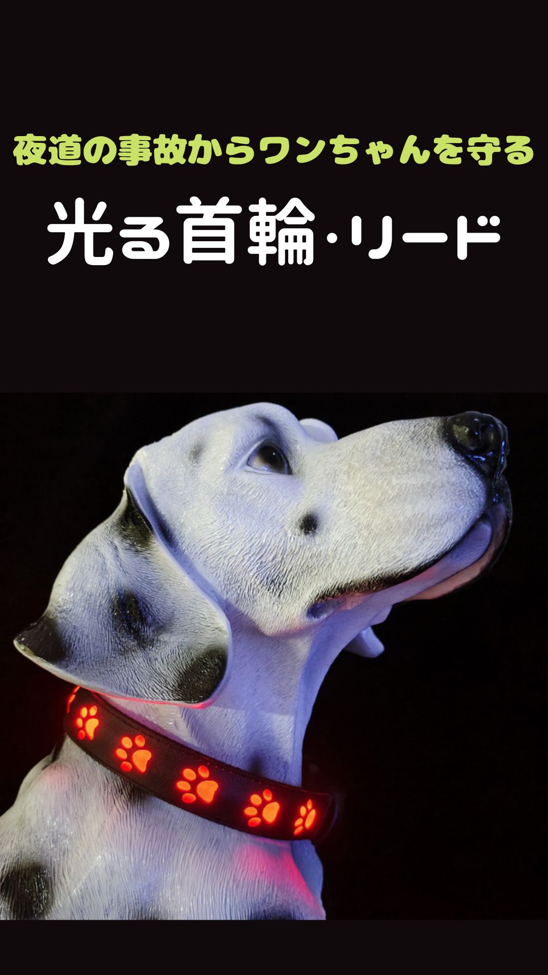 楽天市場】首輪とリードセット 犬リードと首輪 LED光るリード 犬 散歩
