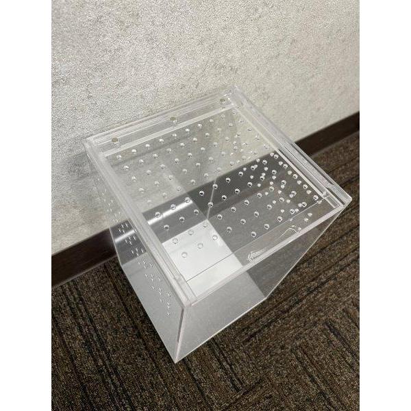 楽天市場】アクリル 爬虫類 飼育ケース 【縦型タイプ】 昆虫飼育ケース