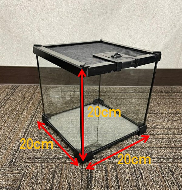 温室・飼育ケース APOLLO 温室・飼育ケース APOLLO Amazon | Ghims