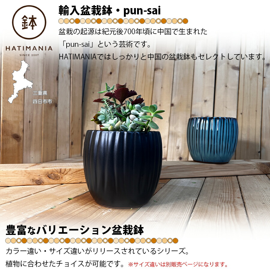 大型 三峰 盆栽鉢 秀峰鉢【大宮盆栽村100周年記念】 | bonsaiQ store