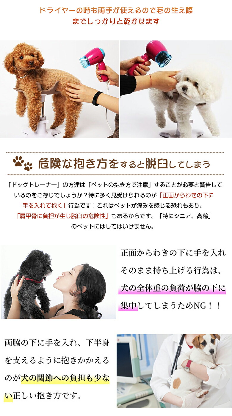 楽天市場】【リニューアルバージョン】サムソンサロン samson salon 犬